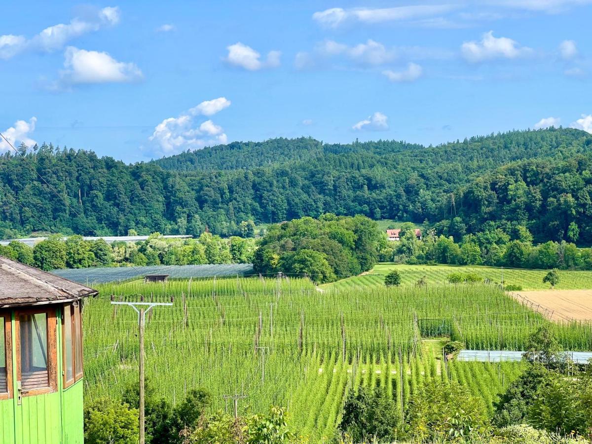 Einzigartiger Panoramablick, Bodensee Und Messe In Der Naehe Tettnang Kültér fotó